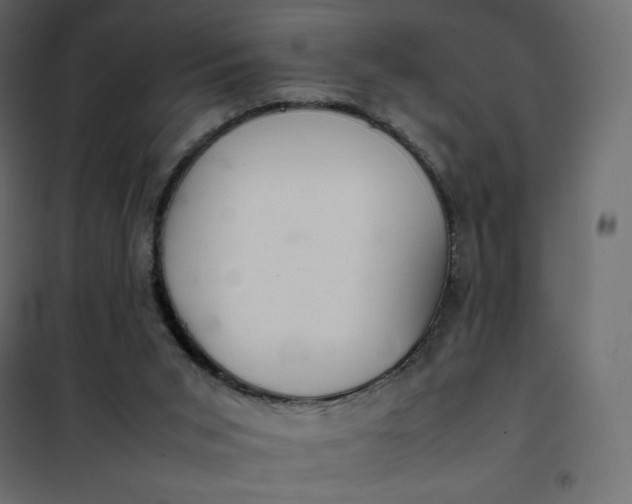 X0000102260015200808081412