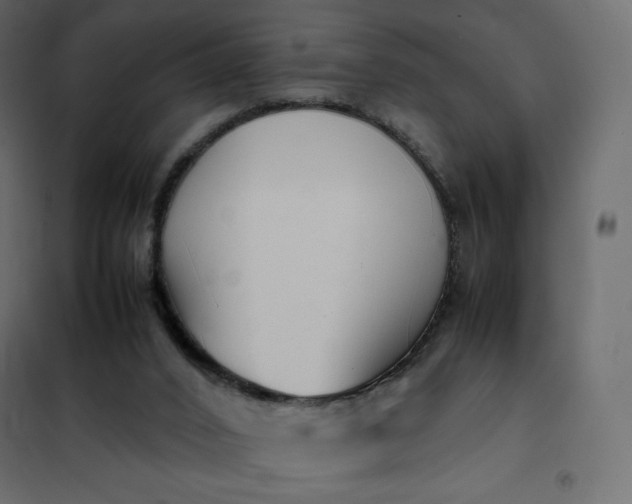 X0000102260016200808081412