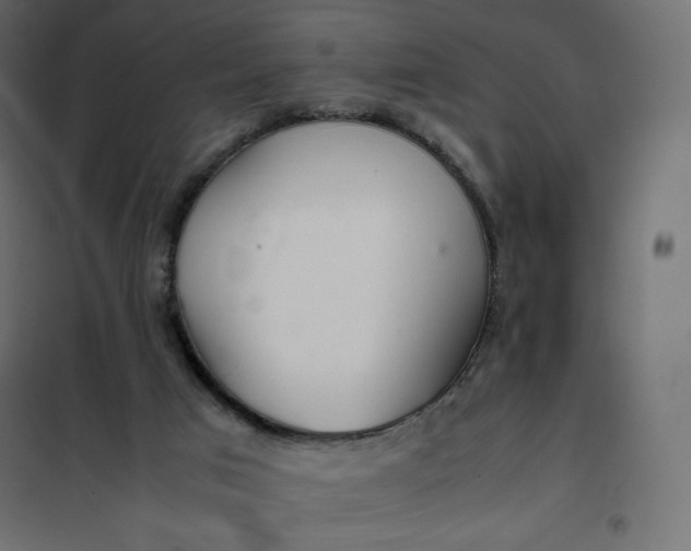 X0000102260017200808081412