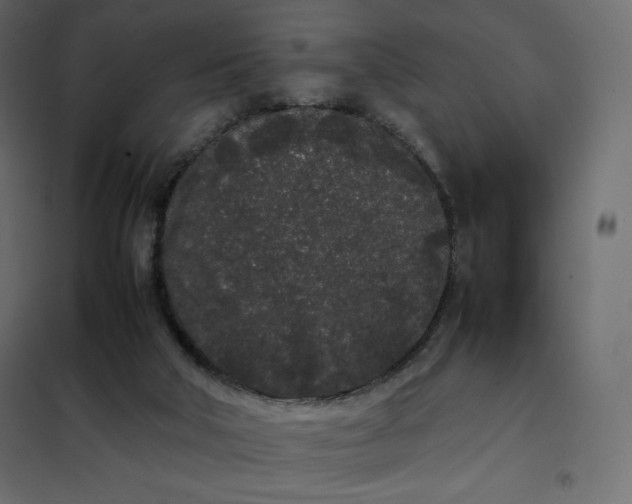 X0000102260018200808081412