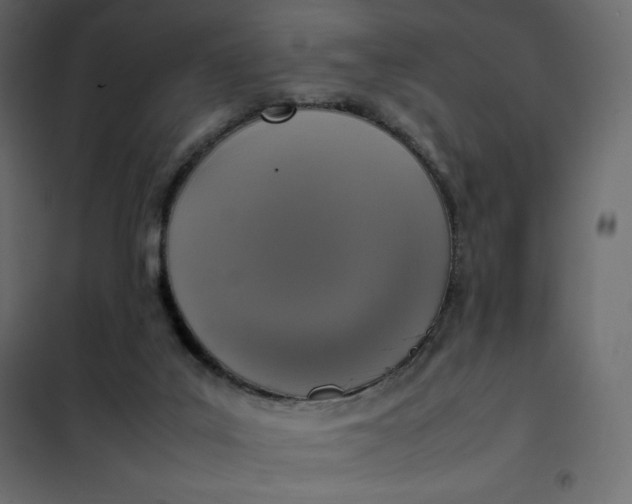 X0000102260019200808081412