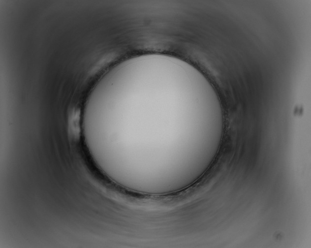 X0000102260020200808081412