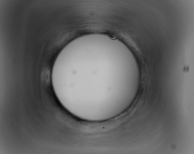 X0000102260021200808081412