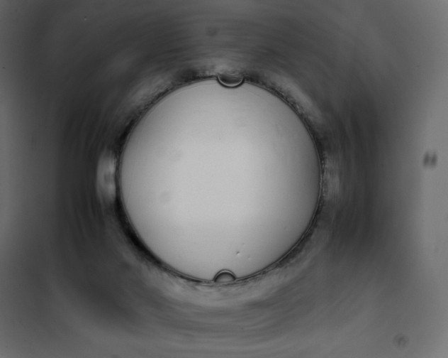 X0000102260022200808081412