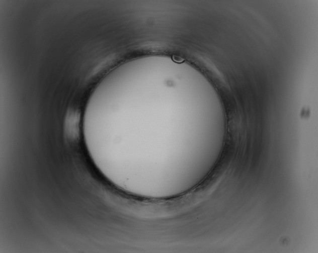 X0000102260024200808081412