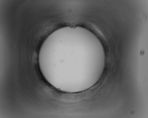 X0000102260025200808081412