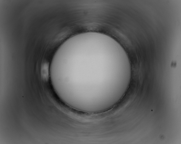 X0000102260028200808081412