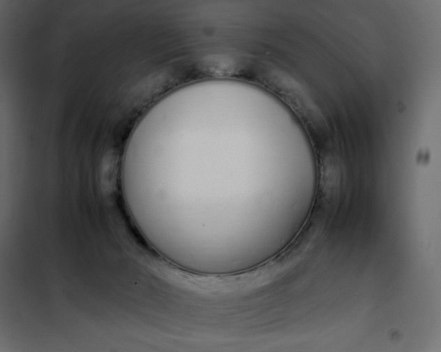 X0000102260030200808081412