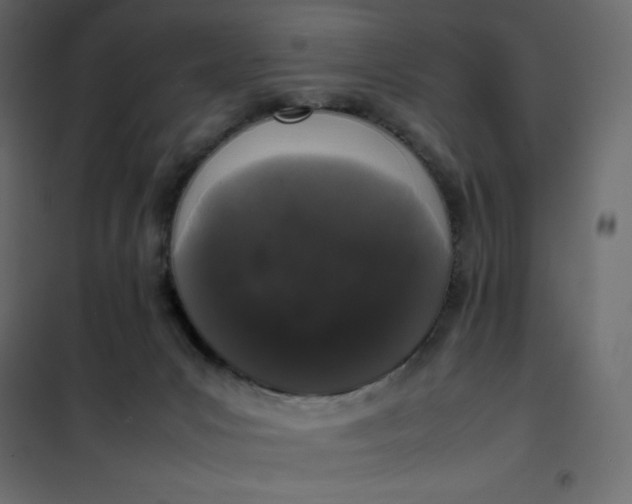 X0000102260031200808081412