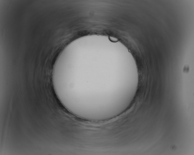 X0000102260033200808081412