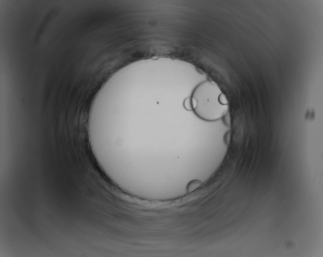 X0000102260034200808081412