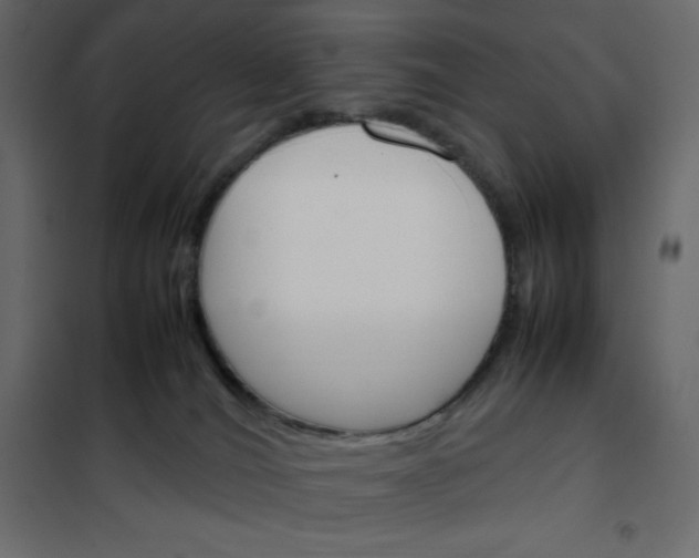 X0000102260036200808081412