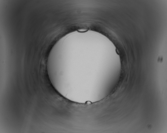 X0000102260037200808081412