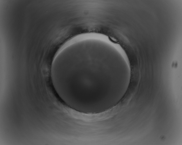 X0000102260039200808081412