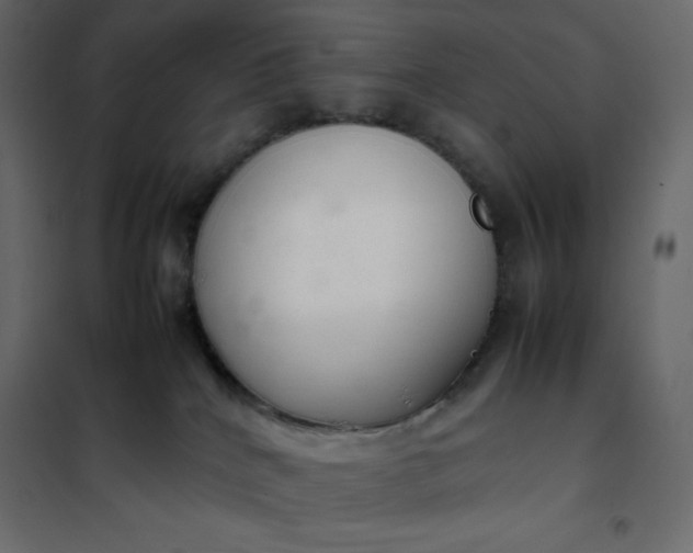 X0000102260040200808081412