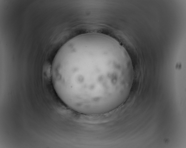 X0000102260041200808081412