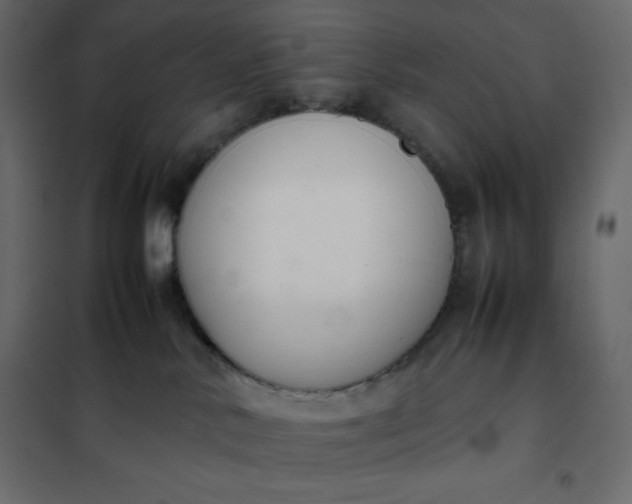 X0000102260042200808081412