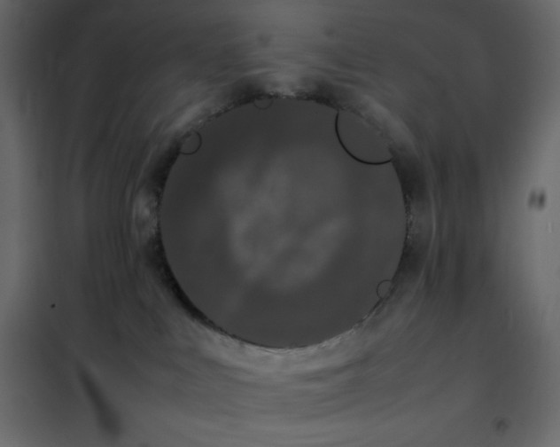 X0000102260043200808081412