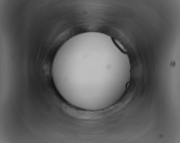 X0000102260044200808081412