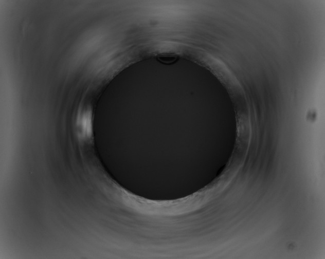 X0000102260046200808081412