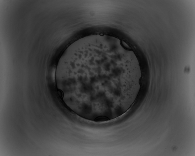 X0000102260047200808081412