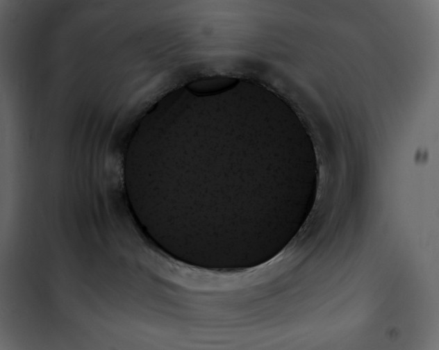 X0000102260048200808081412