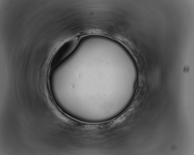 X0000102260049200808081411