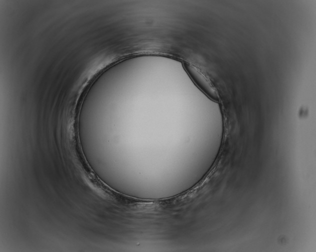 X0000102260050200808081411