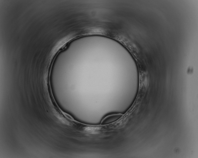 X0000102260051200808081411