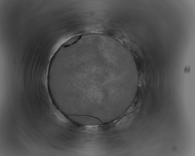 X0000102260052200808081411