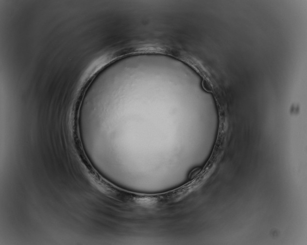 X0000102260053200808081411