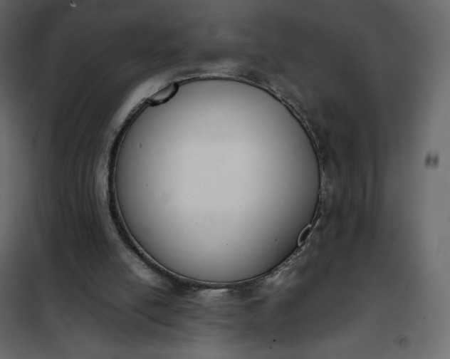 X0000102260054200808081411