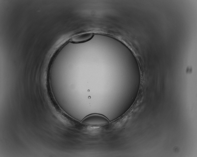 X0000102260055200808081411