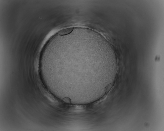 X0000102260056200808081411