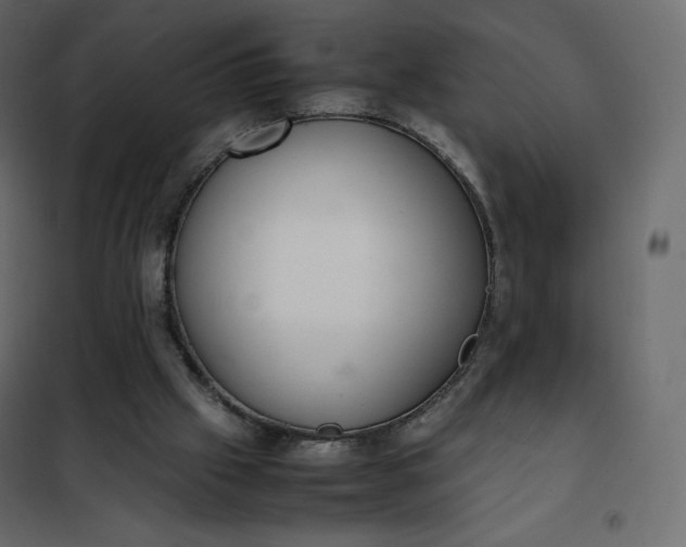 X0000102260057200808081411