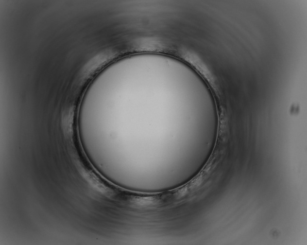 X0000102260058200808081411