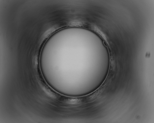 X0000102260059200808081411