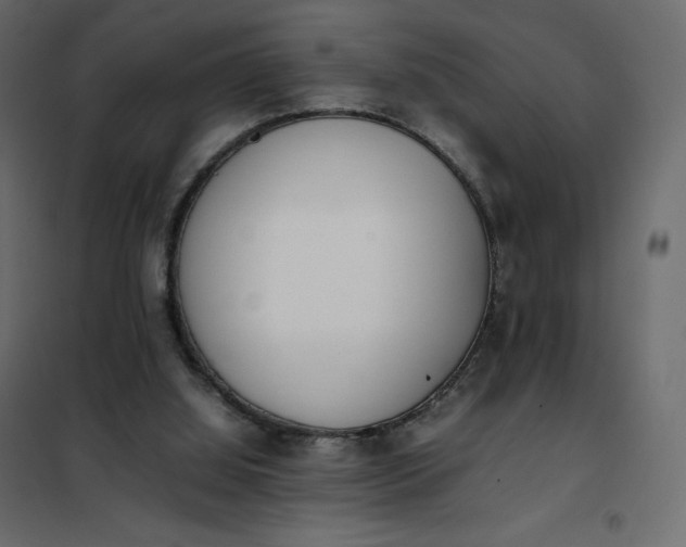 X0000102260060200808081411