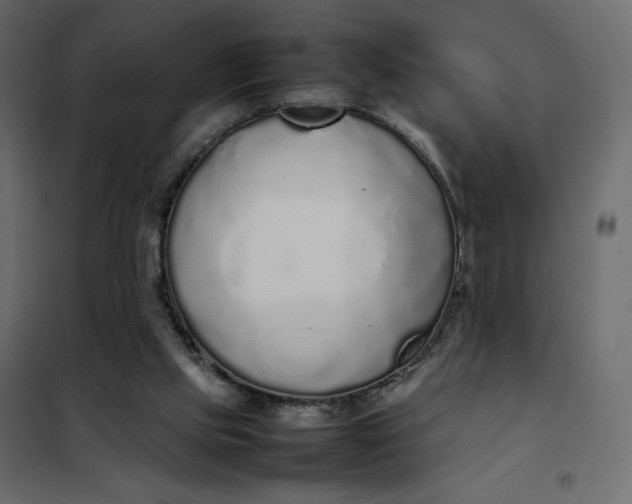 X0000102260061200808081411