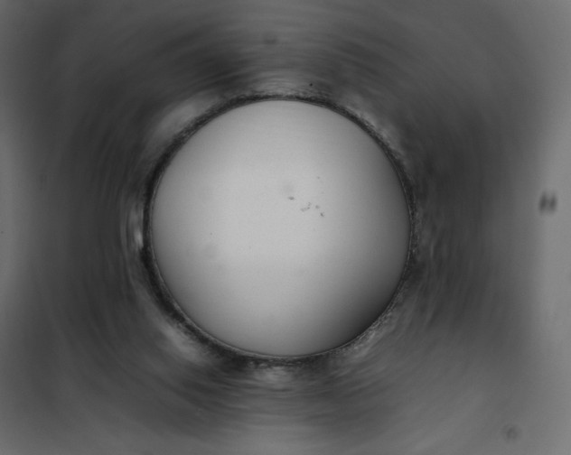 X0000102260062200808081411