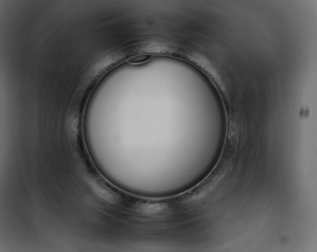 X0000102260063200808081411