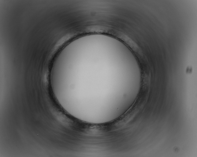 X0000102260064200808081411