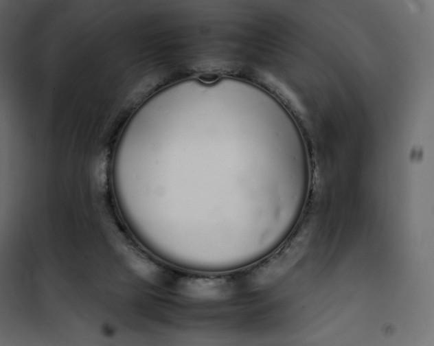 X0000102260065200808081411