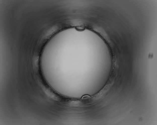 X0000102260066200808081411