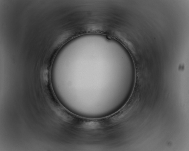 X0000102260067200808081411