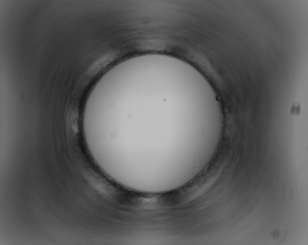 X0000102260068200808081411