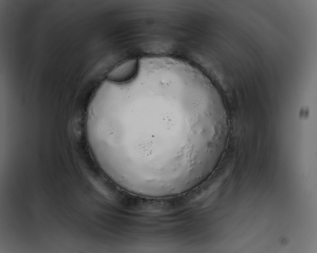 X0000102260069200808081411