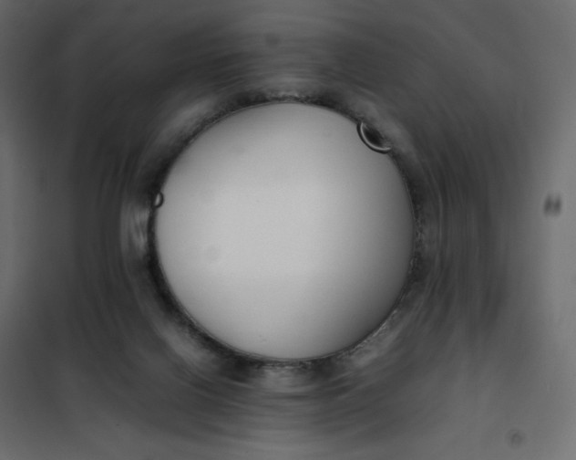 X0000102260070200808081411