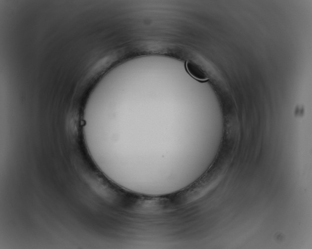 X0000102260072200808081411