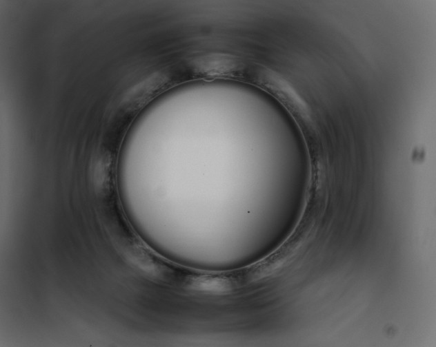 X0000102260073200808081411